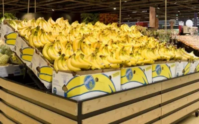 Rechter Colombia veroordeelt oud-leidinggevenden van Chiquita voor steun aan paramilitairen