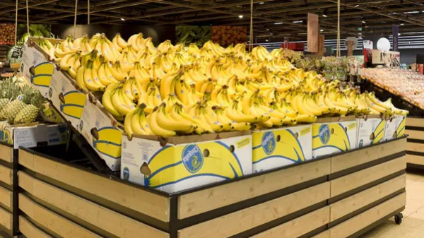 Rechter Colombia veroordeelt oud-leidinggevenden van Chiquita voor steun aan paramilitairen