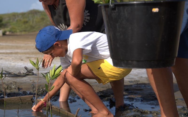 ‘By June’ ondersteunt Carmabi met bijdrage aan natuurbehoud op Curaçao