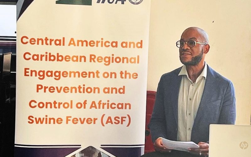 Curaçao neemt deel aan pilotproject om Afrikaanse Varkenspest buiten de deur te houden