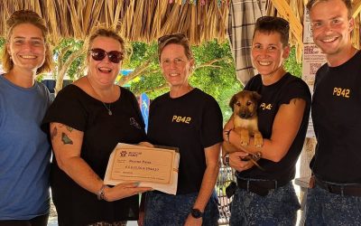 Donatie voor Rescue Paws Curaçao