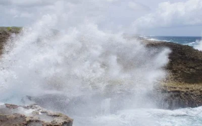 Meteo waarschuwt voor ruwe zee vandaag, in zuidelijke en westelijke kustgebieden