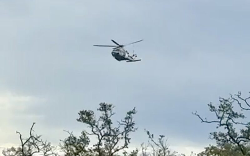 Kustwacht haalt lichaam uit het water bij Megapier