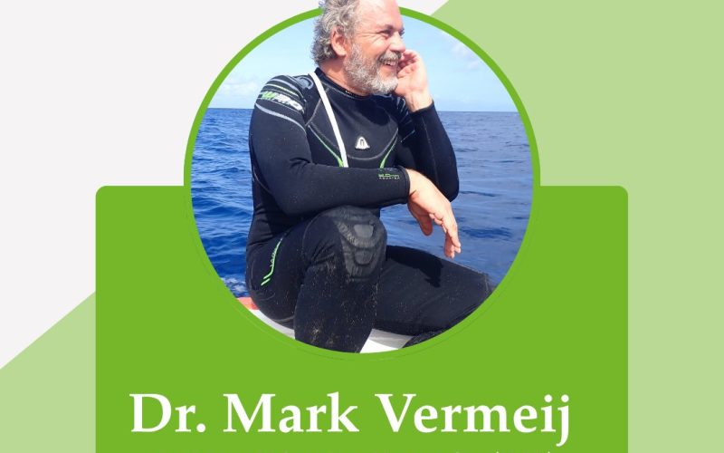 Mark Vermeij (Carmabi): ‘Toestand koraalriffen in Caribisch gebied al lang heel ernstig’