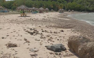 Pisas: Getroffen stranden worden opgeknapt