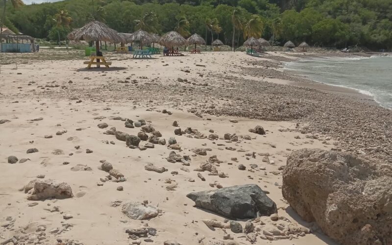 Pisas: Getroffen stranden worden opgeknapt