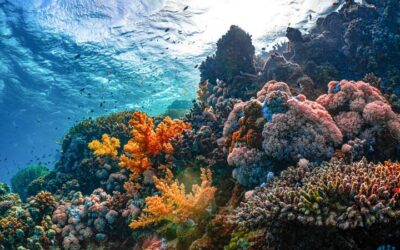 Klimaatscenario’s moeten eilanden helpen zich voor te bereiden
