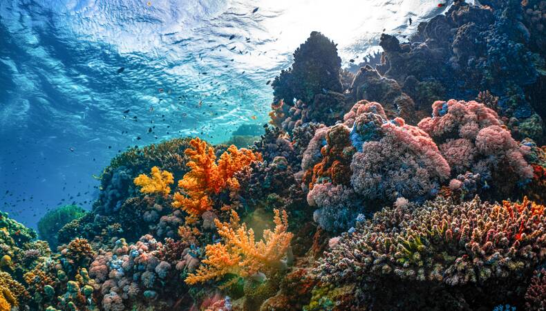 Klimaatscenario’s moeten eilanden helpen zich voor te bereiden