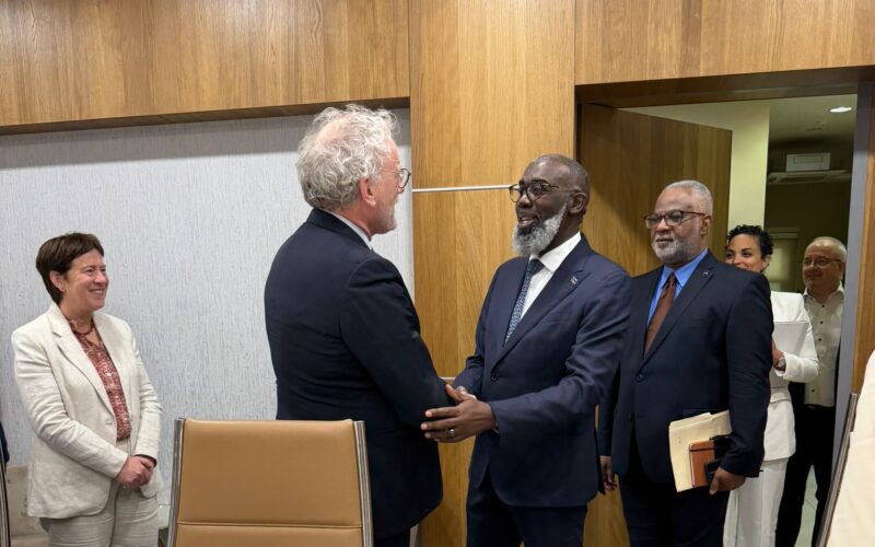 Bezoek Raad van State bij minister-president Pisas
