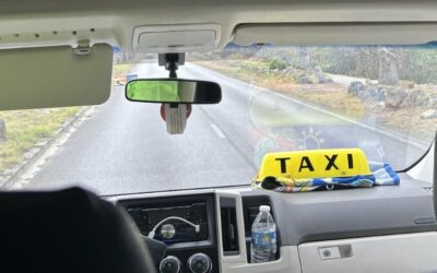 29 Tijdelijke ontheffingen voor taxichauffeurs