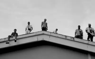 Vier filmprojecten geselecteerd voor Impact 1