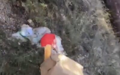 Politie grijpt in na virale video’s van vandalisme en ‘immoreel’ gedrag