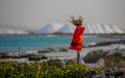 Miljardeninvestering noodzakelijk tegen stijgende zeespiegel Bonaire