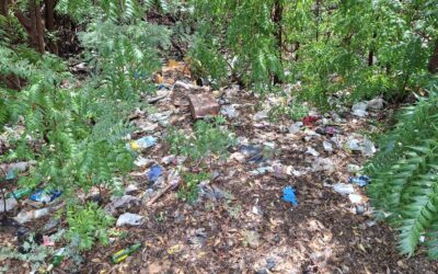 SER: Verbod op plastic alleen effectief bij goede controle