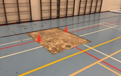 MAN-PIN eist actie van minister voor verwaarloosd SDK