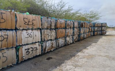 Laatste container gekleurde PET-flessen geëxporteerd