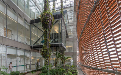 Uitgezonden patiënten in Colombia veilig na zware aardbeving