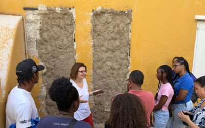 Mortels en bacteriën ingezet om monumenten te beschermen tegen zoutschade