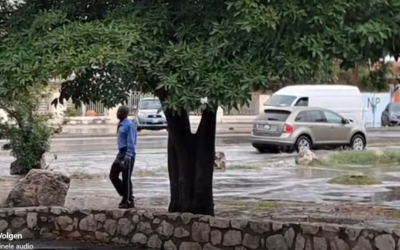 Meerdere buurten last van overlopend riool door hevige regen