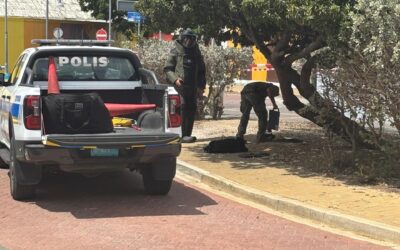 Defensie ondersteunt politie bij mogelijk explosief op Aruba